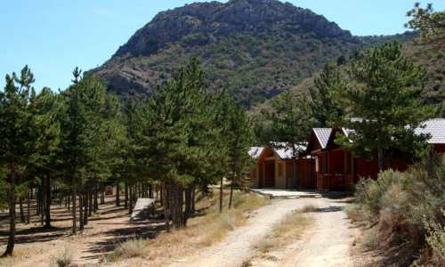 campingcabanas